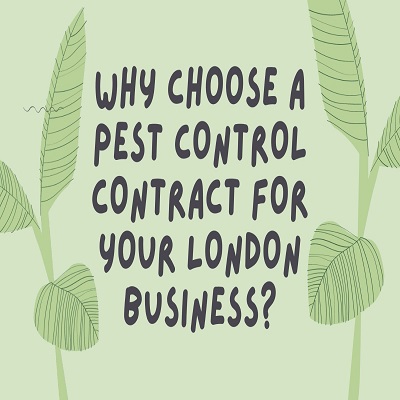Reasons You Should Take Out A Contract With A Professional London Pest Control Specialist
https://diamondpestcontrol.co.uk/about-us/
Insects can infect any part of your home, including restaurant kitchens, offices, food outlets, sheds and the hospitality industry are some. So, warns Diamond Pest Control, it is best to stay vigilant and inspect all areas of your property as much as possible. Pests can trigger a health issue.There are also plenty of indications that usually means you have got an infestation. One of the most common indication is if you see rodents in your property persistently.If you happen to be among the countless of people who experience allergic reactions, or asthma, a pest issue in your family home can be very threatening to your health. Rodents in the house must be eliminated by a pest control professional such as Diamond right away. Diamond Pest Control is an experienced, professionally run business based in London. They give an expert, pleasant, polite as well as seasoned.
#Londonexpertpestcontrol
